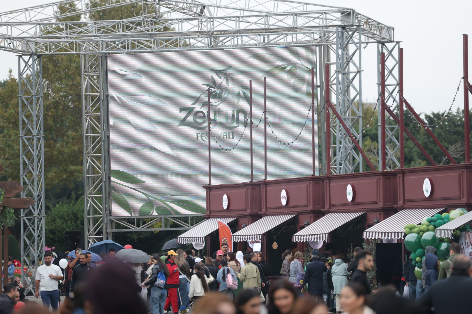Olive Festival continues in Baku despite rainy weather (PHOTO)