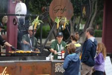 Olive Festival continues in Baku despite rainy weather (PHOTO)