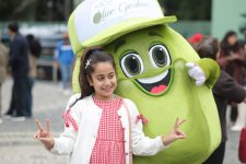 Olive Festival continues in Baku despite rainy weather (PHOTO)