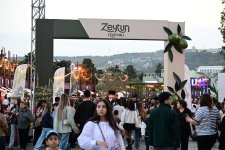 Pop stars take stage at Baku Olive Festival (PHOTO)