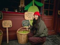 Olive Festival concludes at Baku Boulevard (PHOTO)