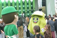 Olive Festival concludes at Baku Boulevard (PHOTO)