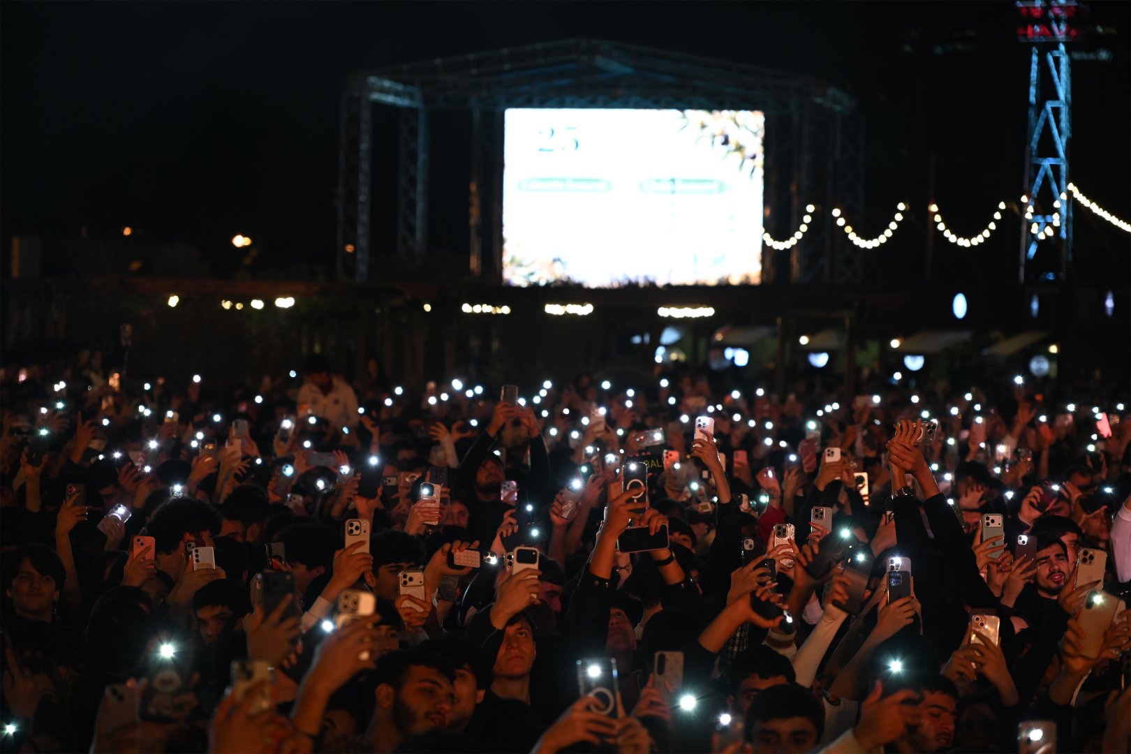 Olive Festival concludes at Baku Boulevard (PHOTO)