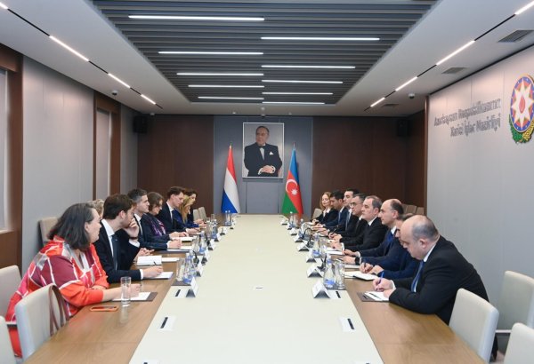 Azerbaijan, Netherlands discuss expanding bilateral cooperation (PHOTO)
