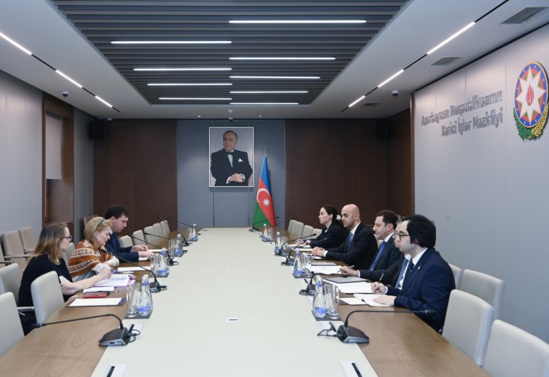 Azerbaijan, UNESCO discuss prospects for developing cooperation (PHOTO)