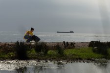 Hovsan beach cleaned as part of Yelo Bank’s “Bright Shores” campaign (PHOTO)