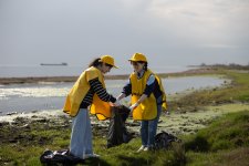 Hovsan beach cleaned as part of Yelo Bank’s “Bright Shores” campaign (PHOTO)