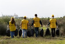Hovsan beach cleaned as part of Yelo Bank’s “Bright Shores” campaign (PHOTO)