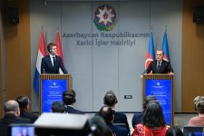 Azerbaijan, Netherlands discuss expanding bilateral cooperation (PHOTO)