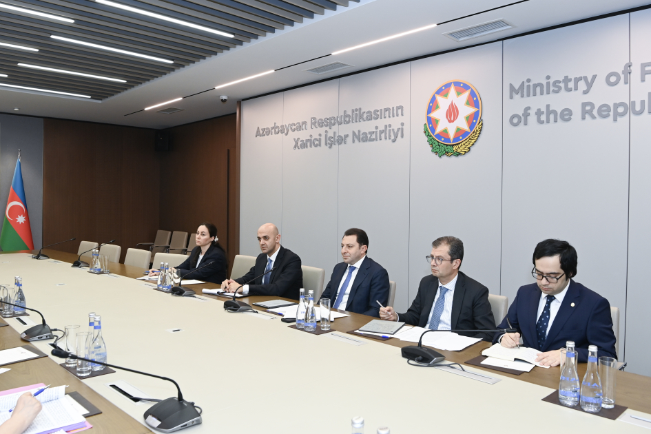 Azerbaijan, UNESCO discuss prospects for developing cooperation (PHOTO)