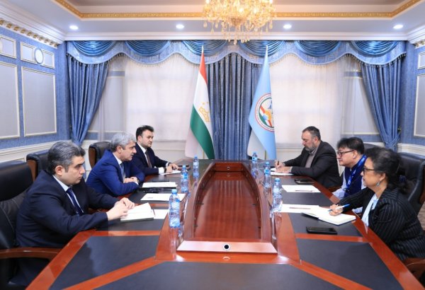 Tajikistan, UNDP explore implementation of joint projects