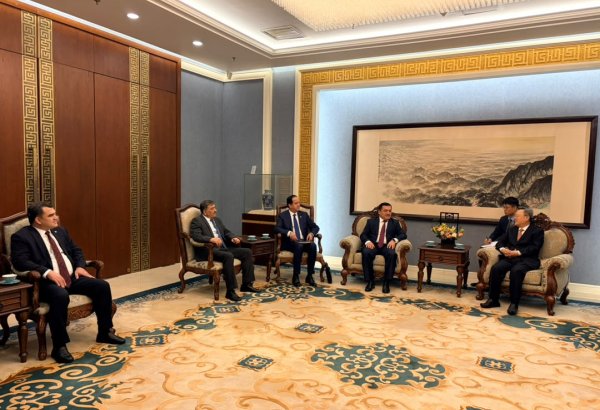 Tajikistan, China discuss expanding consular cooperation