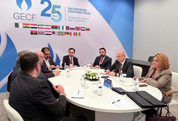 Azerbaijan, Iran discuss energy cooperation and future prospects (PHOTO)
