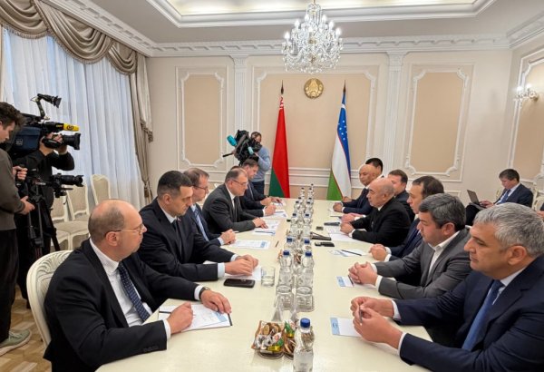 Uzbekistan, Belarus seek to expand industrial and investment ties
