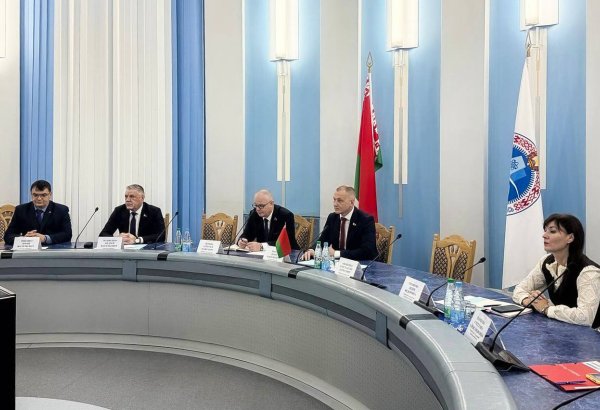 Uzbekistan, Belarus explore industrial cooperation for nuclear power plant