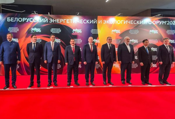 Uzbekistan highlights nuclear power's role in energy independence in Minsk