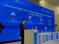 Azerbaijan prepares native-language AI models for state services