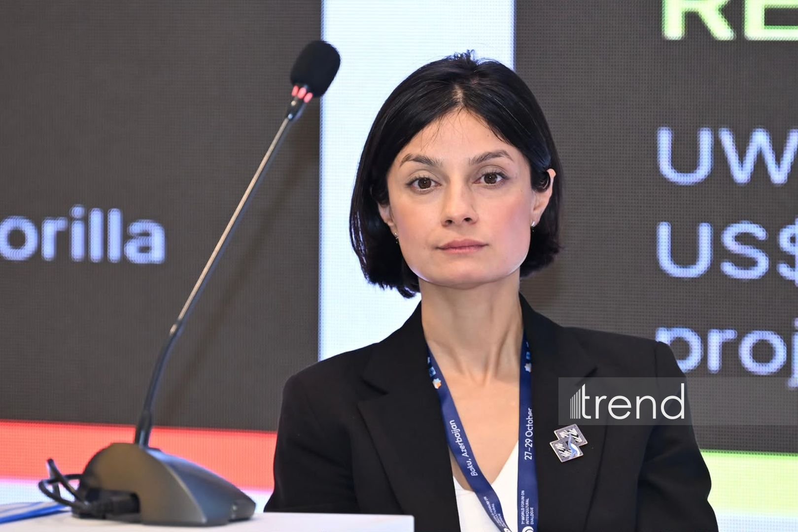 Baku hosts tourism panel on inclusivity and peacebuilding (PHOTO)