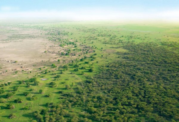 Turkmenistan, FAO launch five-year climate-resilient agriculture project