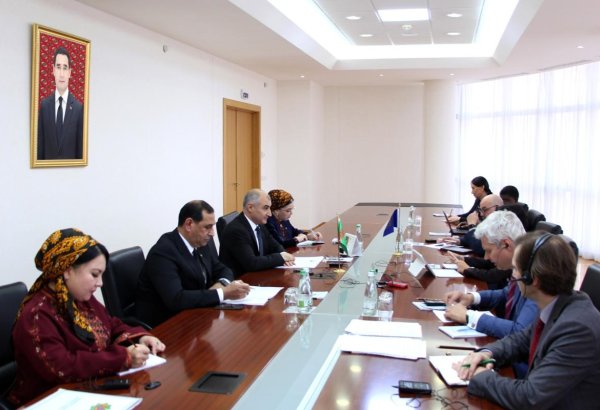 Turkmenistan, IMF discuss economic cooperation and expertise exchange