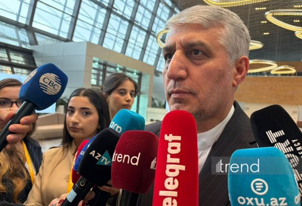 Iranian ambassador calls for coordinated international crime prevention