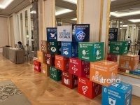 Baku hosts 9th SDG Dialogue on energy sector decarbonization (PHOTO)