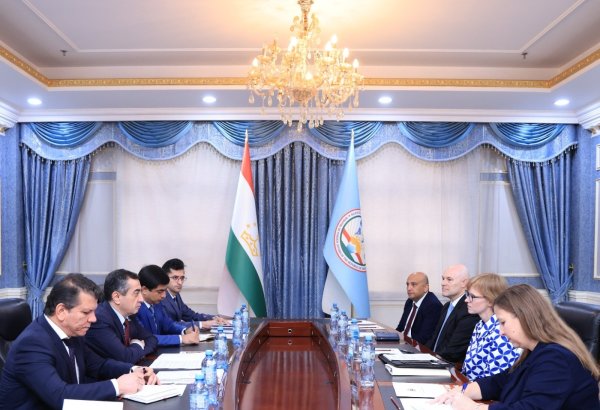 Tajikistan, U.S. discuss C5+1 ministerial meeting and bilateral cooperation