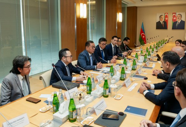 Azerbaijan and Indonesia discuss development of investment relations (PHOTO)