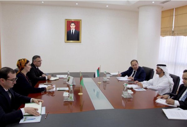 Turkmenistan, UAE discuss cooperation within international organizations