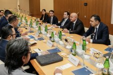 Azerbaijan and Indonesia discuss development of investment relations (PHOTO)