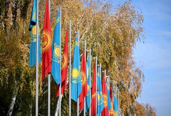 Kazakhstan-Kyrgyzstan trade mission results in $95M in agreements