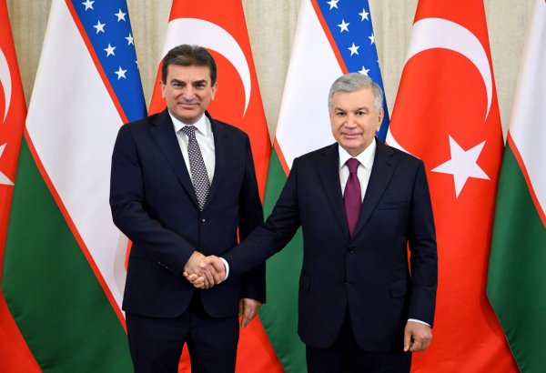 Mirziyoyev, OYAK CEO discuss Turkish investment in Uzbekistan