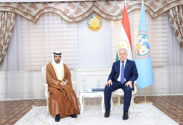 Tajikistan, UAE discuss cooperation in international organizations