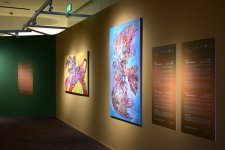 Heydar Aliyev Foundation VP Leyla Aliyeva and Alena Aliyeva attend official opening of Art Weekend (PHOTO)